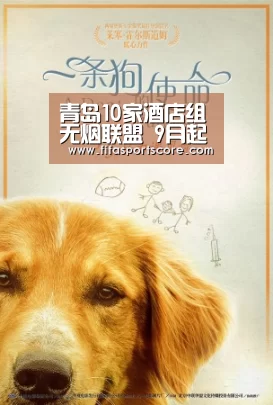 青岛10家酒店组无烟联盟 9月起婚礼全无烟‘世界杯买球网站’(图3) 2026世界杯